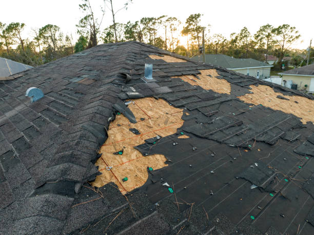 Best Emergency Roof Repair Services  in South Creek, WA